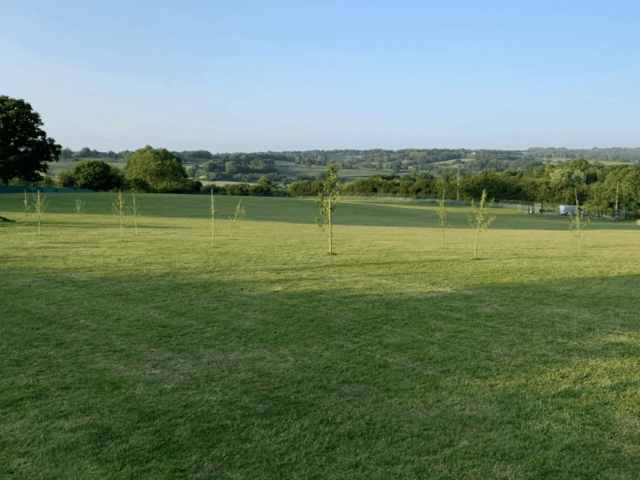 TJ's Green Field, East Sussex