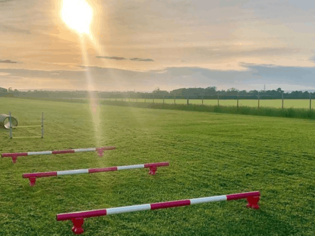 Ryedale Dog Field, Broughton