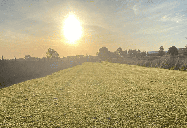 Railway Dog Field, Malton
