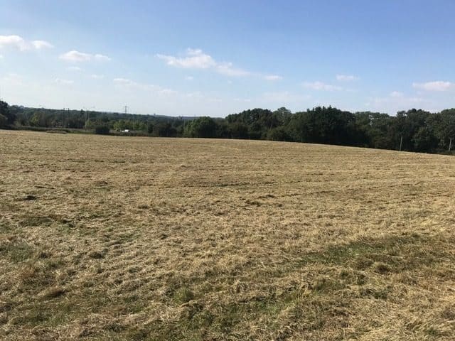 Foxes Farm Dog Fields, Upminster A (Hall Lane)