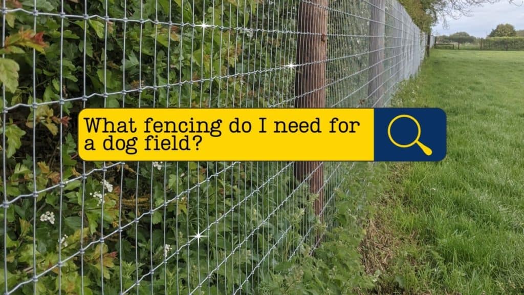 What Fencing Do I Need For A Dog Field?