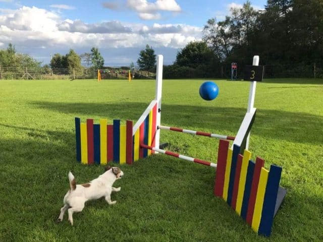 Skipadoos Secure Dog Field, Bolton