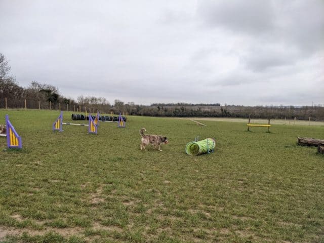 REVIEW : Enslow Secure Dog Field, Kidlington