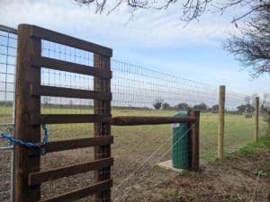REVIEW: Martham Paw Ground Dog Fields - Babblers Field