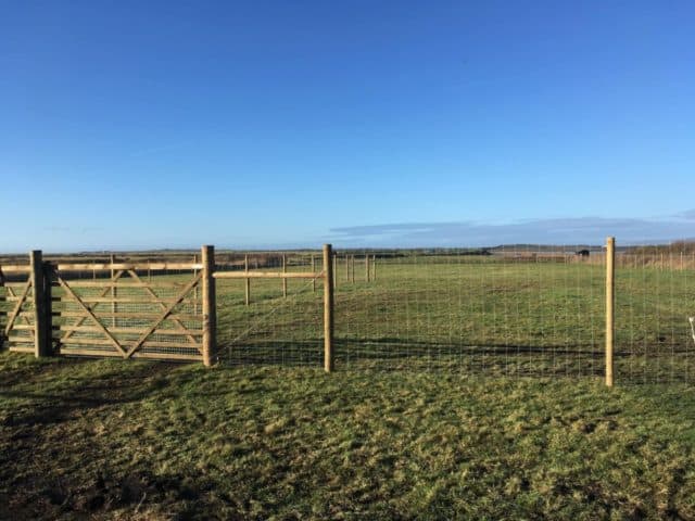 Skern View Secure Dog Field, Bideford