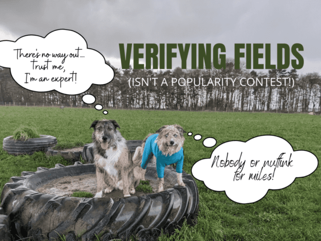 Why Verifying Dog Fields in Person is Important