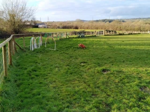 Saundersfoot Dog Field