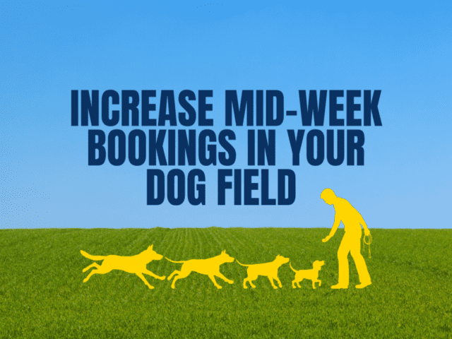 5 Ways to Increase Your Dog Field Bookings during The Week