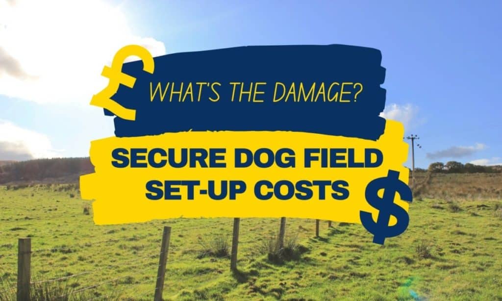 How Much Does It Cost To Set Up A Dog Field?