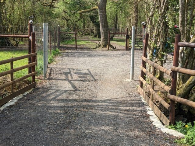 REVIEW: Wickwater Woods Secure Dog Field, Cotswolds