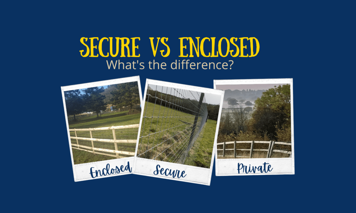 Secure Vs Enclosed Dog Field, What’s The Difference?