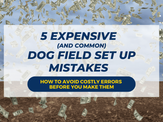 5 Expensive Mistakes To Avoid When Setting Up A Dog Field