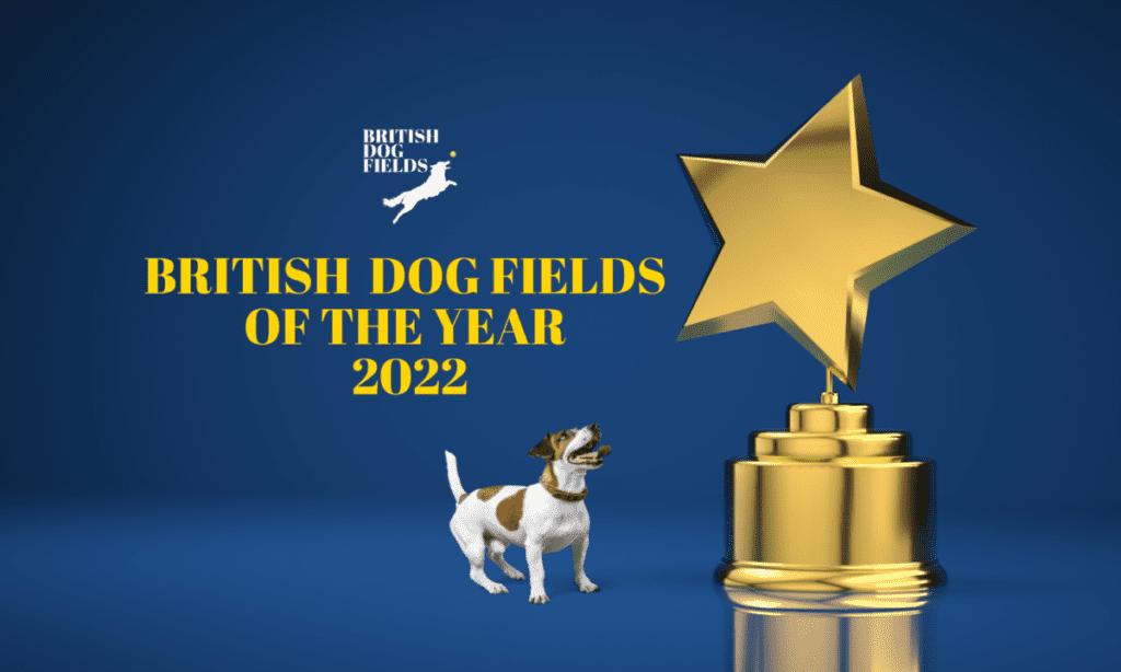 British Dog Fields of the Year 2022 – Voting has Started!