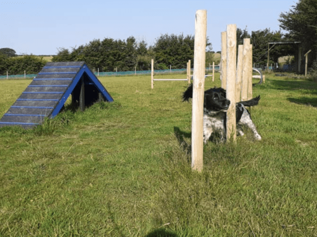 North Devon Secure Dog Walking Field