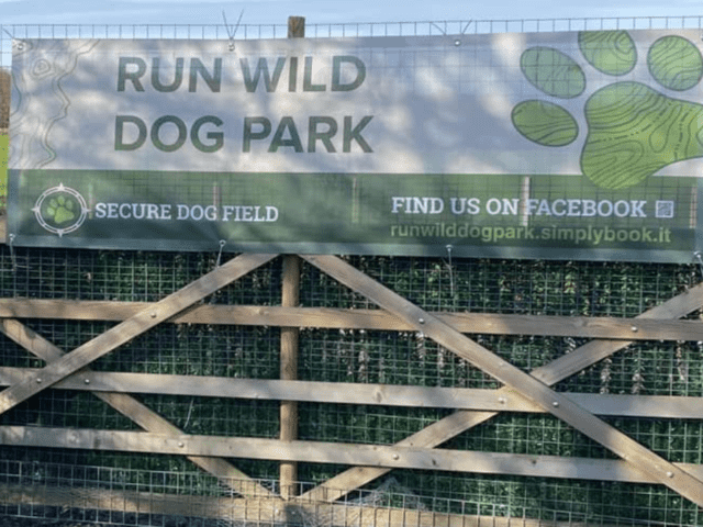 Run Wild Dog Park, Danbury