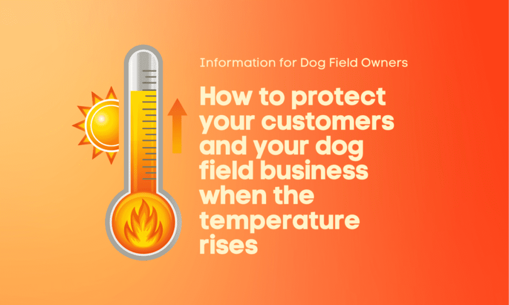 Should I Close My Dog Field in Hot Weather?