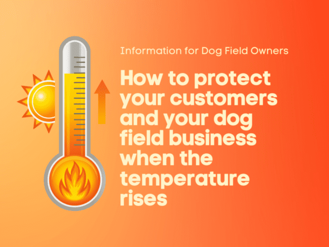 Should I Close My Dog Field in Hot Weather?