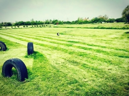 First Class Dog Training Enclosed Paddock, Stamford