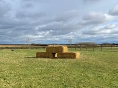 The Stilton Dog Fields, The Farm Field, Peterborough