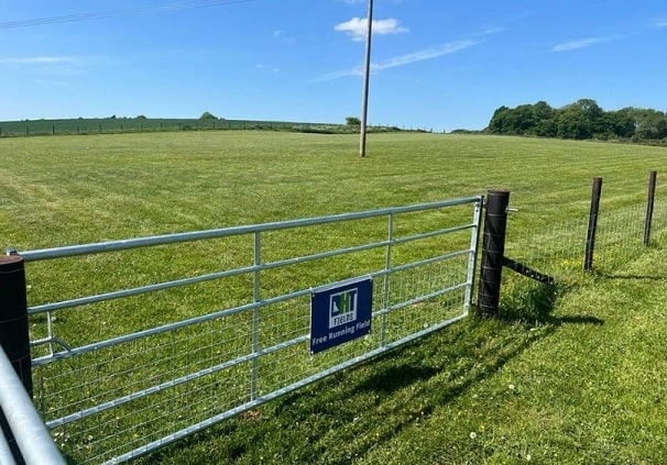 DHT Fields (Free Running Field), Secure Dog Field, Newton
