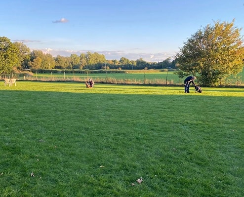 Lower Upham Field - Enclosed Dog Field, Upham