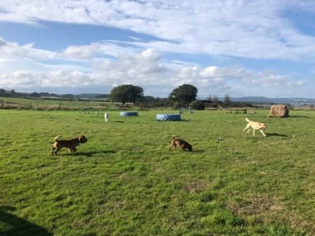 Ruff Pastures Dog Field, Portlethen