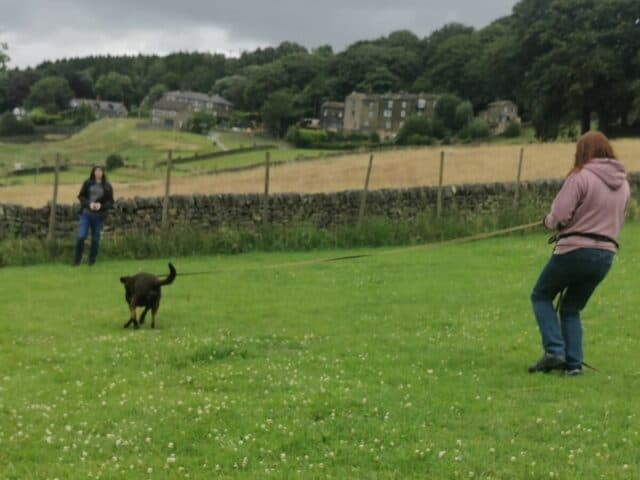 It's All About the Dog, Secure Field, Keighley
