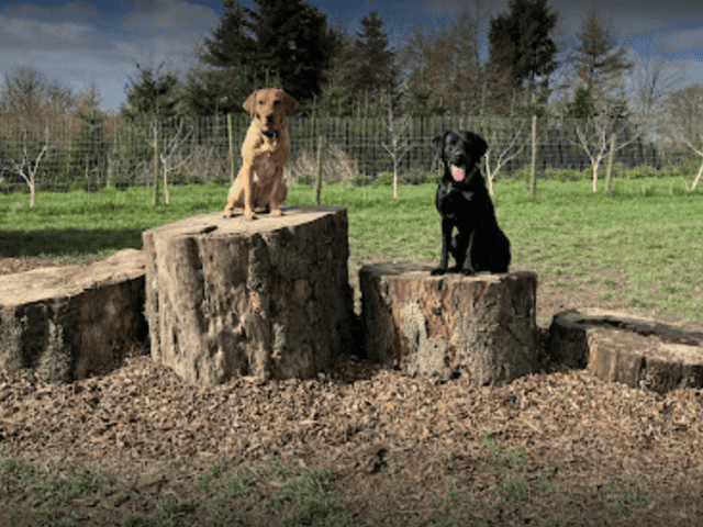 Woof and Tumble Secure Dog Fields, Horsforth