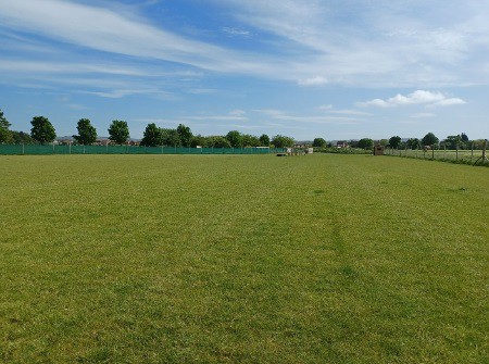 Barmby Fields (Dog Fields), Pocklington