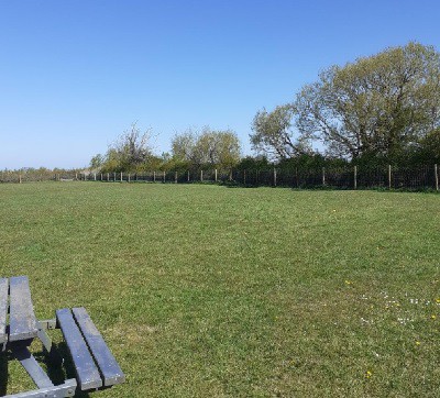 Manor Farm Dog Field, Weston-super-Mare