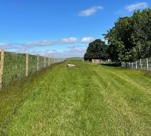 Marton Meadow Dog Walking Fields, Skipton