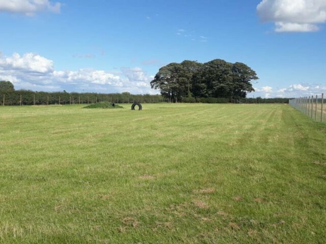 Tockwith Dog Fields, Tockwith