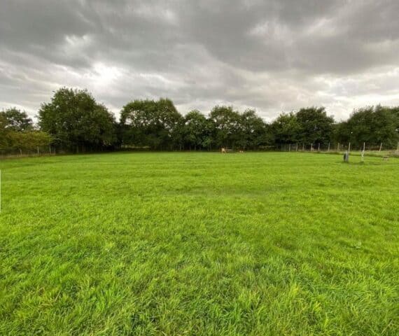 Dog's Country Club Dog Fields (Field 5), Warrington