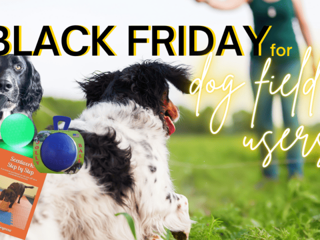 Dog Field User Essentials: Black Friday Deals