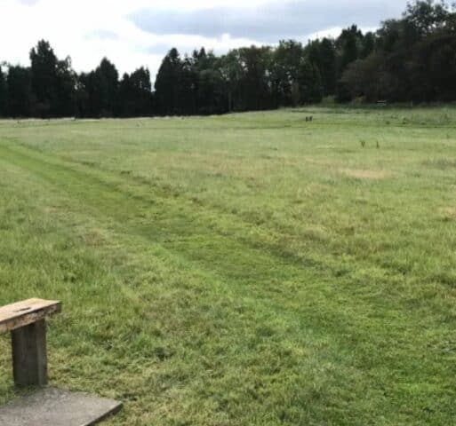 Bromsgrove Dog Field - The Fenced Meadow, Bromsgrove