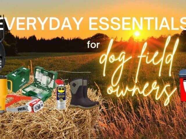 The Dog Field Owners Tool Kit: Everyday Essentials