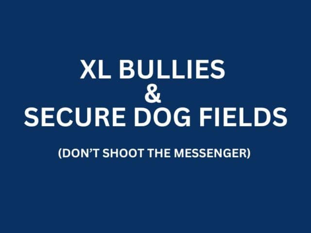 XL Bullies and Secure Dog Fields (Please Don’t Shoot The Messenger)
