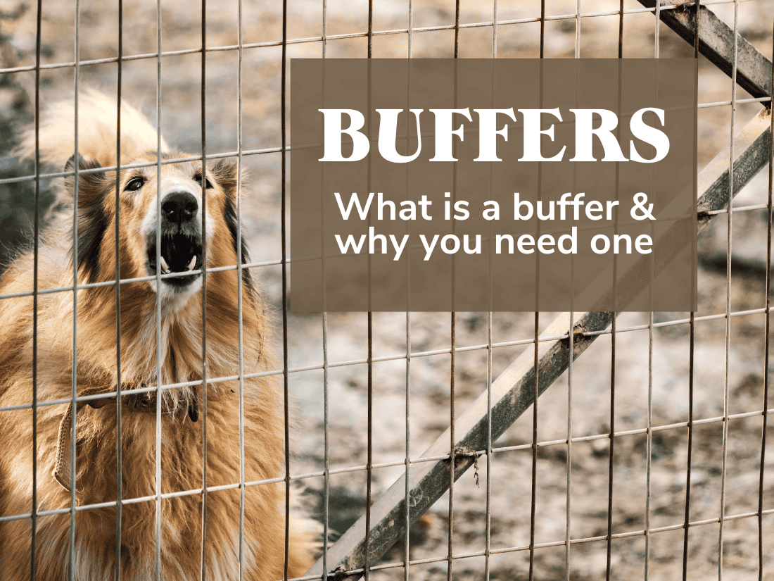 Managing a Dog Field: What Is A Buffer And Why Do You Need One?