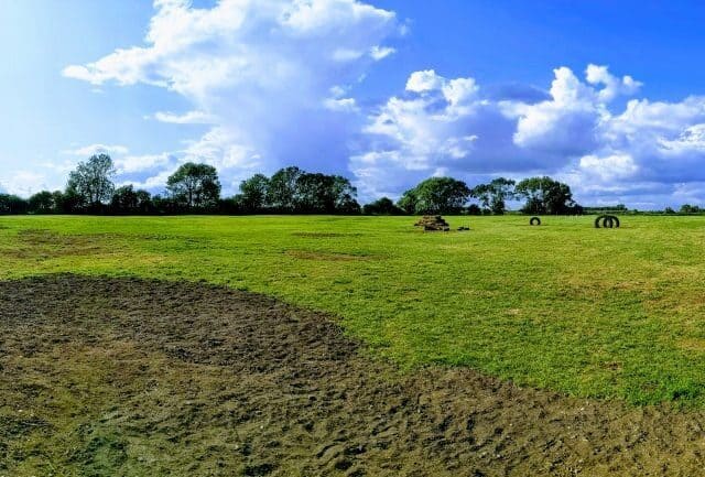 Milo's Meadow Dog Field, Heckington
