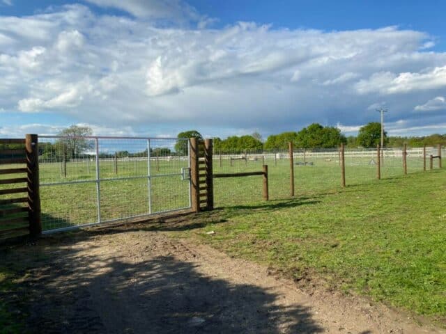 Branton Dog Field, Doncaster