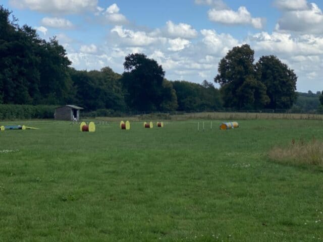 Long Meadow Dog Fields, Shirenewton