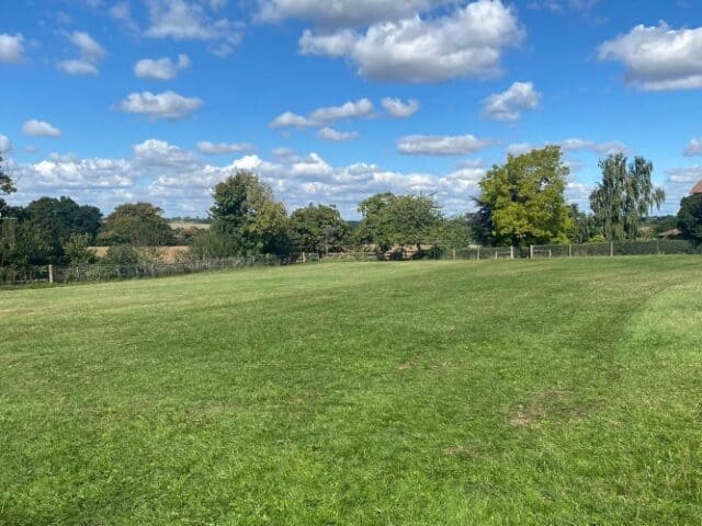 Lawn Pasture Dog Field, Chelmsford