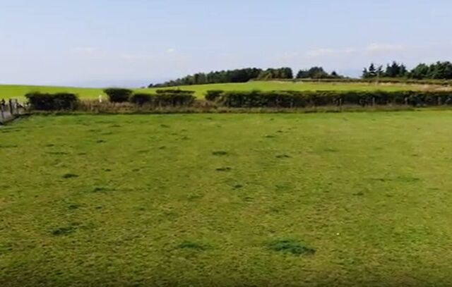 Run Free Dog Fields - Kirkhill Field, East Kilbride