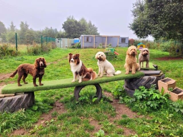 West Lothian Secure Dog Field, Broxburn
