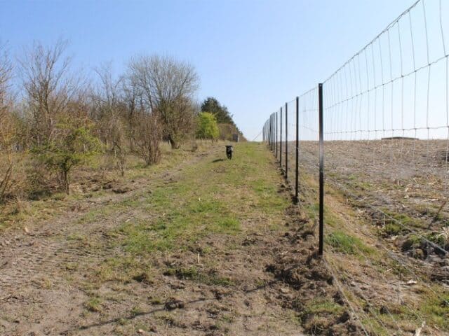 Hagnbourne Dog Field, Hagbourne Hill