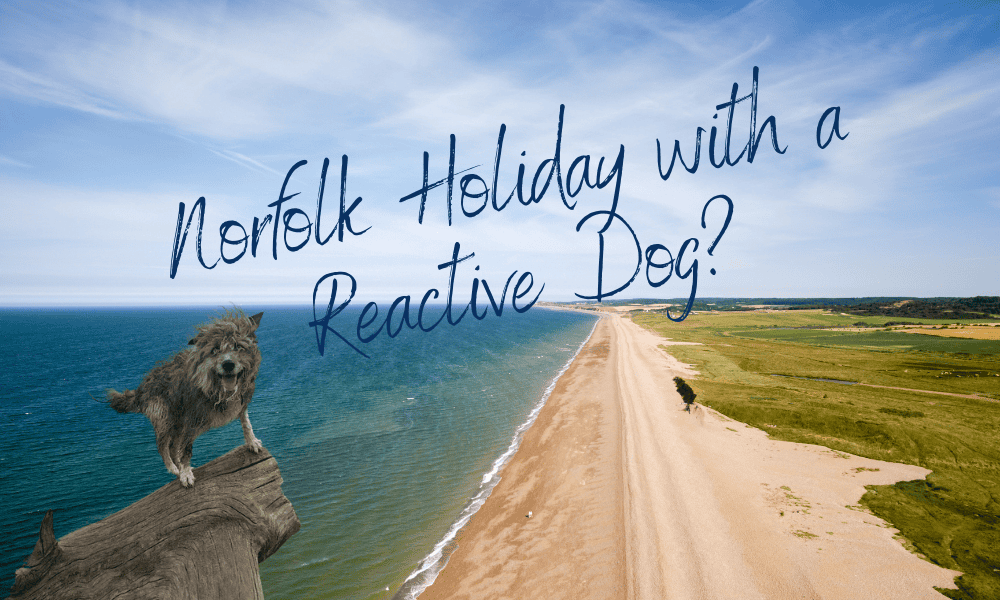 Norfolk: A Place to Holiday with a Reactive Dog?