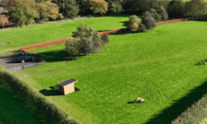 Martham Paw Ground Dog Fields - The Spinney
