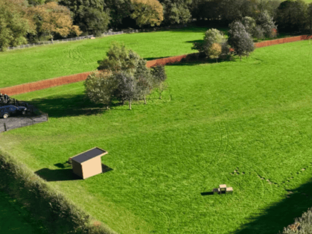 Martham Paw Ground Dog Fields - The Spinney